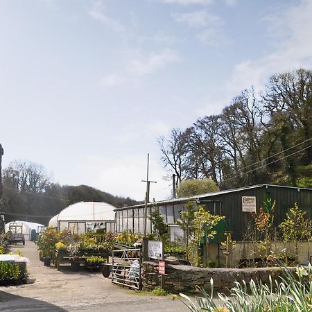 Fordbrook Cottage ブリクストン エクステリア 写真